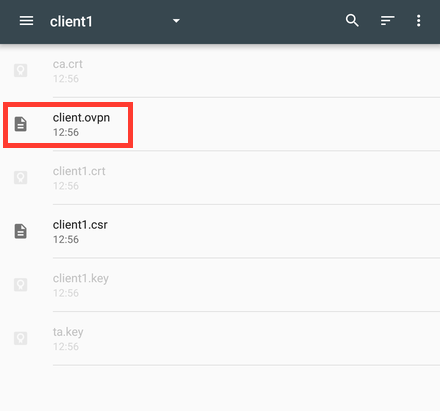 OpenVPN for Android file browser
